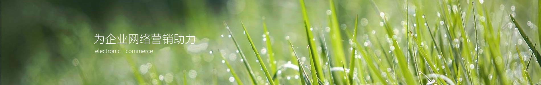 ؿƼ޹˾